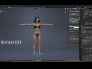 Female Base Black Hair Rig 3D 모델