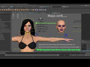 Female Base Black Hair Rig 3D 모델