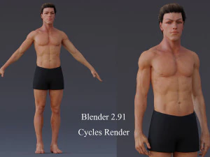 Male Base Rig 3D Model