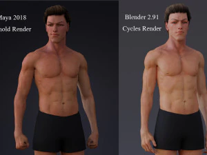 Male Base Rig 3D Model
