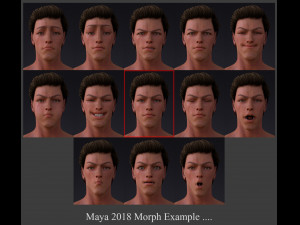 Male Base Rig Modelo 3D