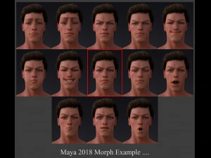 Male Base Rig 3D Model