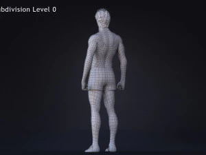 Male Base Rig 3D Model
