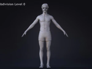 Male Base Rig 3D Model