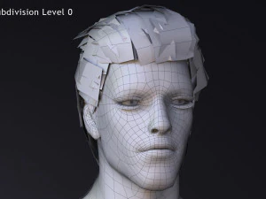 Male Base Rig 3D Model