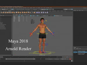 Male Base Rig 3D Model