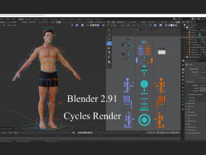 Male Base Rig 3D Model