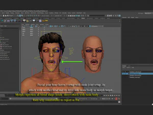 Male Base Rig 3D Model