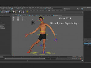 Male Base Rig Modelo 3D