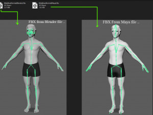 Male Base Rig Modelo 3D