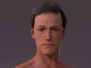 Erkek Taban Te&ccedil;hizatı 3D Model