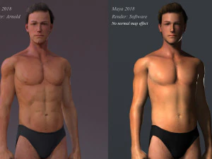 Erkek Taban Te&ccedil;hizatı 3D Model