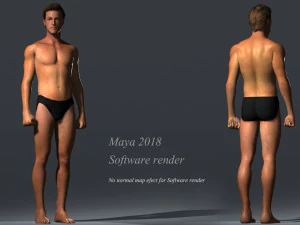 Erkek Taban Te&ccedil;hizatı 3D Model