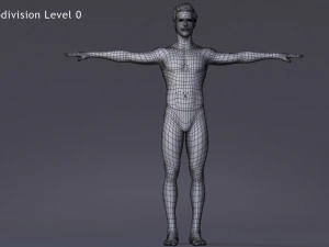 Erkek Taban Te&ccedil;hizatı 3D Model