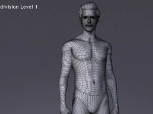 Erkek Taban Te&ccedil;hizatı 3D Model