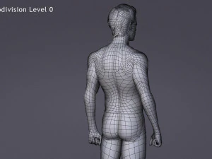 Erkek Taban Te&ccedil;hizatı 3D Model