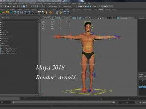 Erkek Taban Te&ccedil;hizatı 3D Model