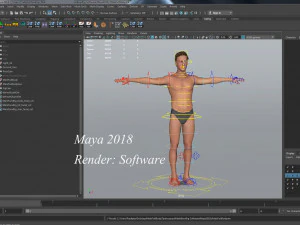 Erkek Taban Te&ccedil;hizatı 3D Model