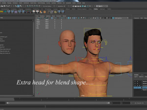 Male Base Rig Modèle 3D