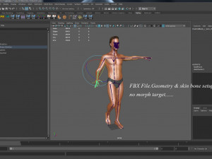 Male Base Rig Modèle 3D