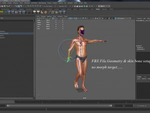 Erkek Taban Te&ccedil;hizatı 3D Model
