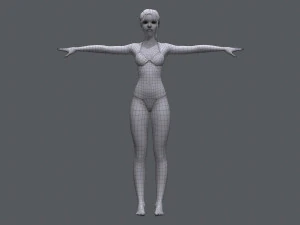 Female Base 3D Model