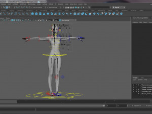 Female Base Modelo 3D