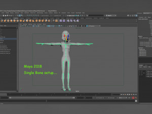 Violet Rig Outfit 2 Modèle 3D
