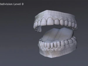 David Cartoon 3D Model