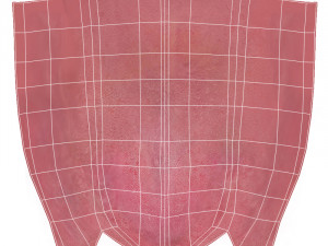 David Cartoon 3Dモデル