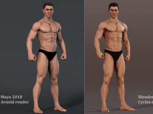 Male Base characterRig 3D Model