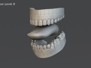 Male Base characterRig 3D Model