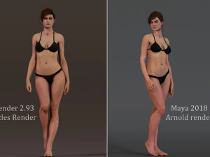 Female Base characterRig 3D Model