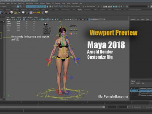 Female Base characterRig 3D Model