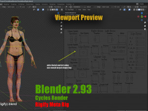 Female Base characterRig Modello 3D