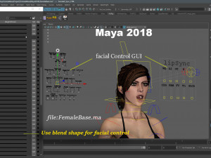Female Base characterRig Modello 3D