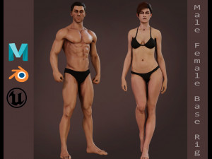 Male Female Rig 3D Модель