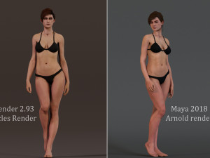 Male Female Rig Modelo 3D