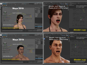 Male Female Rig Modelo 3D