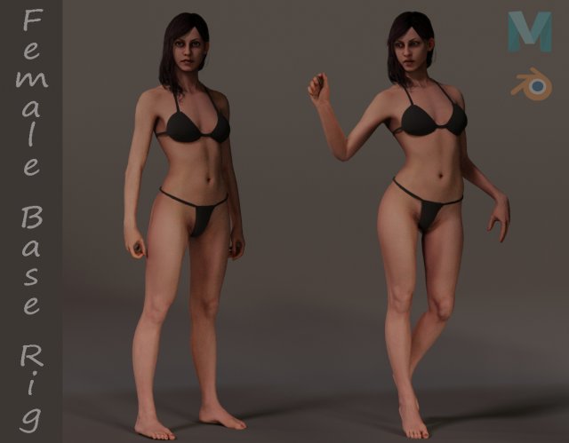 Female Base Complete Rig 3D Model .c4d .max .obj .3ds .fbx .stl .blend 