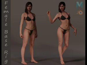 女性ベースの完全なリグ 3Dモデル