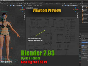 女性ベースの完全なリグ 3Dモデル