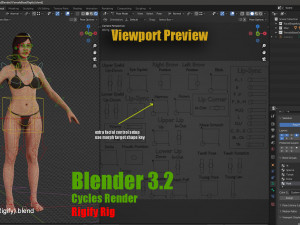 Female Base Complete Rig 3D Model