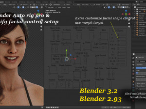 Female Base Complete Rig 3D Model