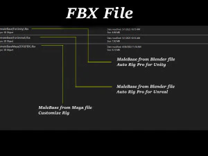 女性ベースの完全なリグ 3Dモデル