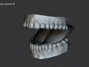Female Base Complete Rig 3D Model