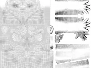 女性ベースの完全なリグ 3Dモデル