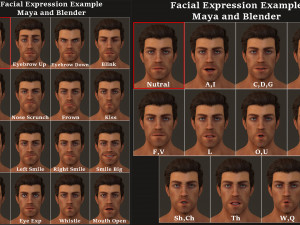 Male Female Base complete Rig 3D मॉडल