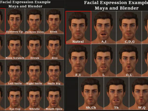 Male Female Base complete Rig 3D Model