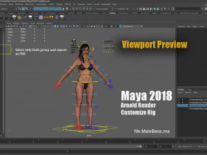 Male Female Base complete Rig 3D Model